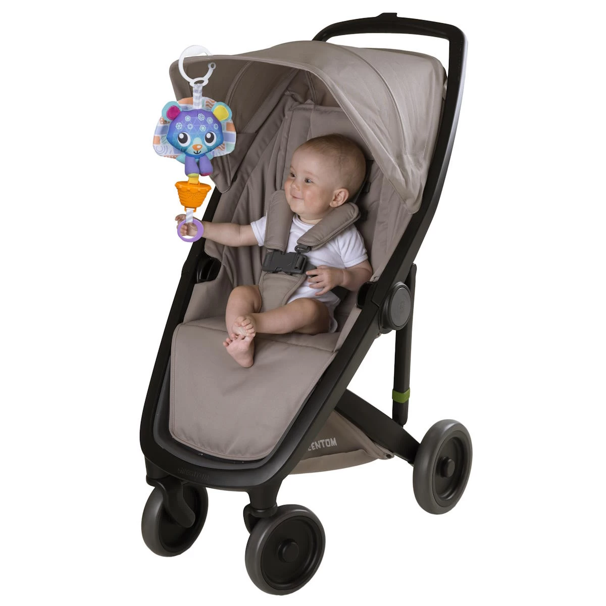 Playgro Musical Polar Pals Bear Muziekdoosje P0188320 - Afbeelding 4