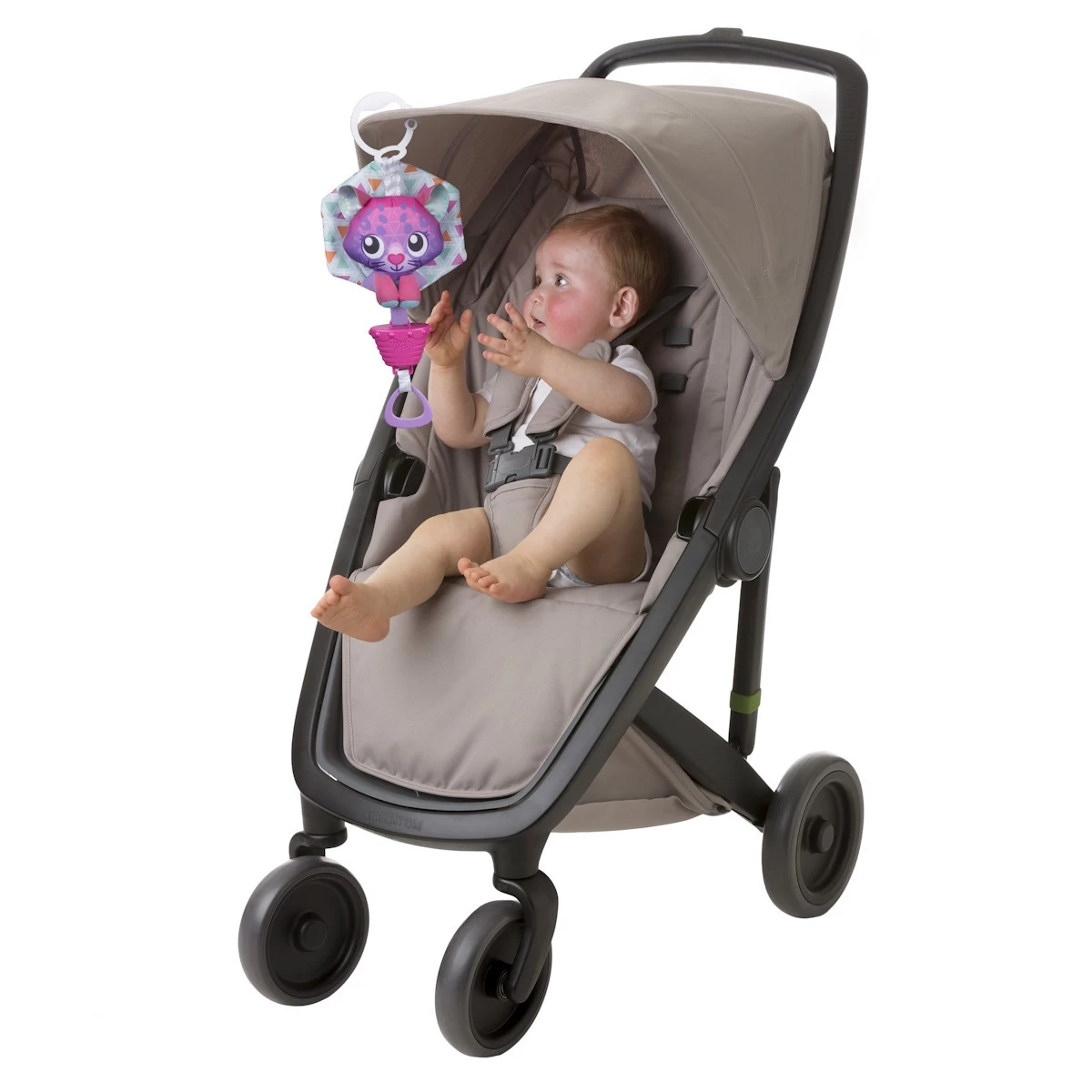 Playgro Musical Polar Pals Cat Muziekdoosje P0188321 - Afbeelding 4