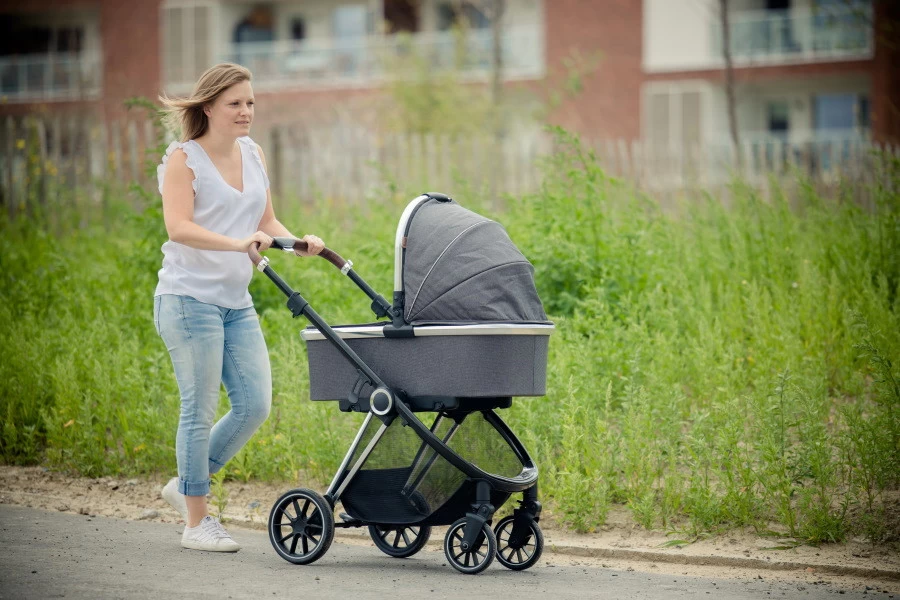 Ding Fenix Grey/Silver 3-in-1 Combi Kinderwagen Incl. Autostoel - Afbeelding 18